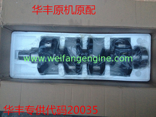 Crankshaft for Weifang diesel Engine parts of 295/495/4100/4105/6105/6113/6126